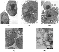 Ijms 14 00273f2 200