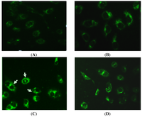 Ijms 14 00273f4 200