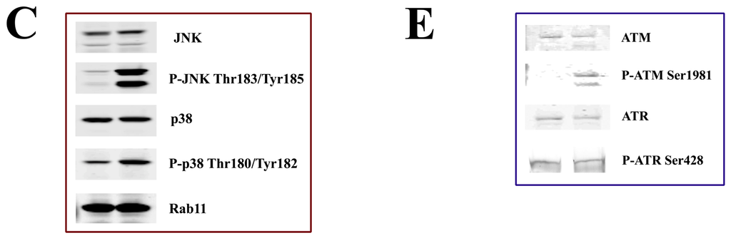 Ijms 14 00286f4b 1024