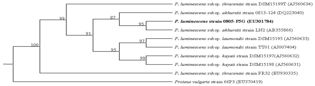 Ijms 14 00308f1 1024