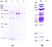Ijms 14 00308f2 200