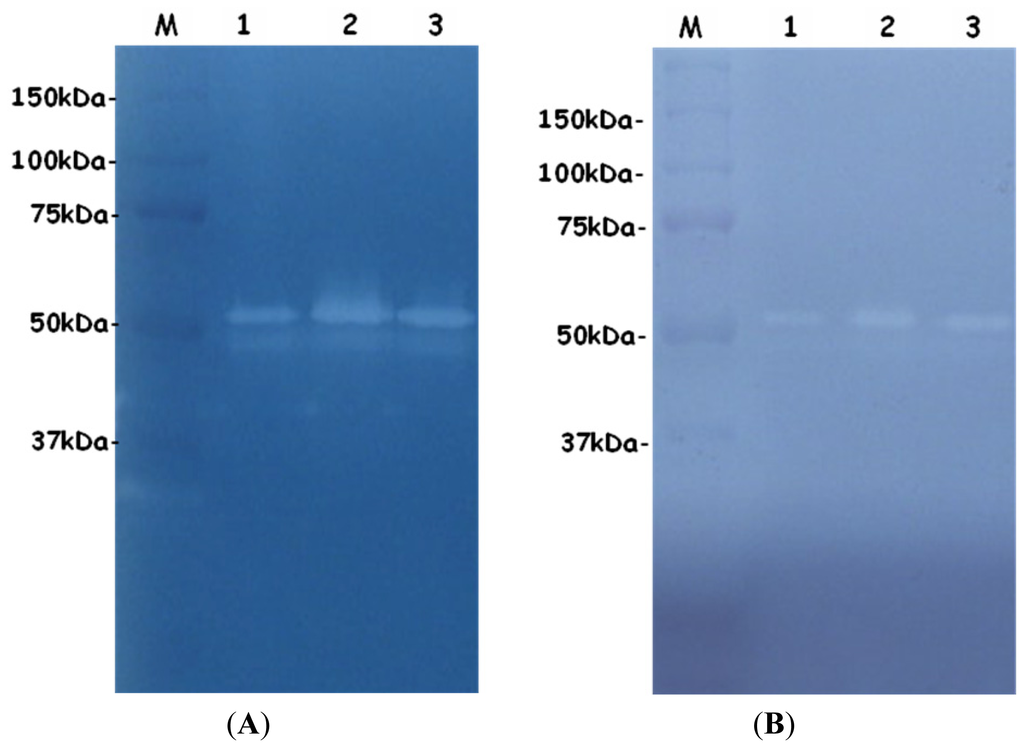 Ijms 14 00308f3 1024