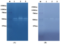 Ijms 14 00308f3 200