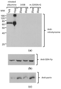 Ijms 14 00394f4 200