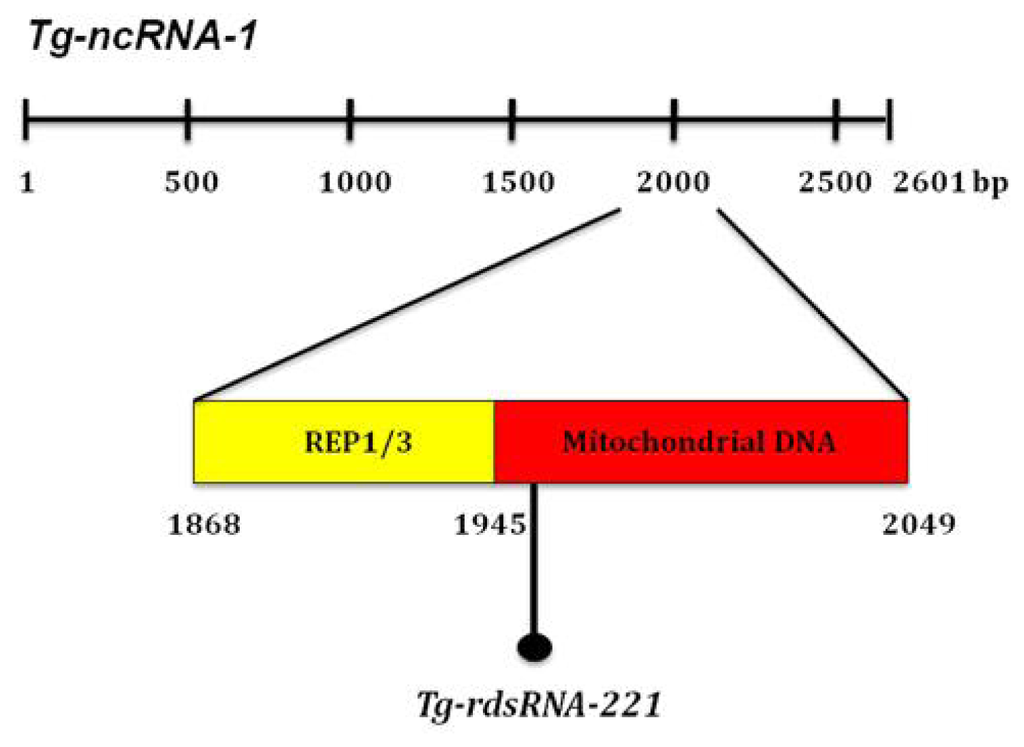 Ijms 14 00611f4 1024
