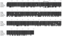 Ijms 14 00625f1b 200