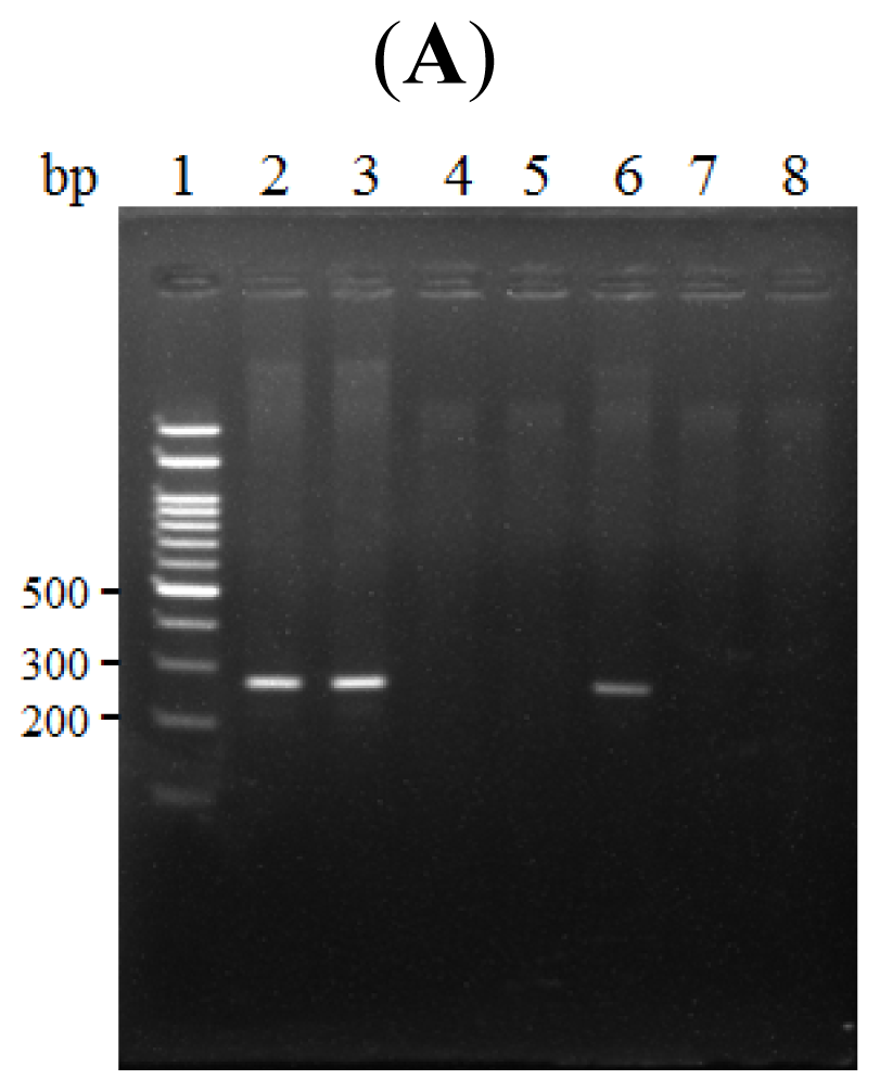 Ijms 14 00625f2a 1024