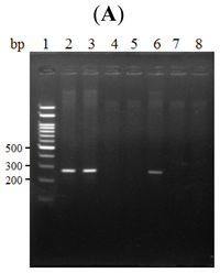 Ijms 14 00625f2a 200