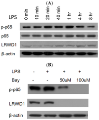 Ijms 14 00625f3a 200