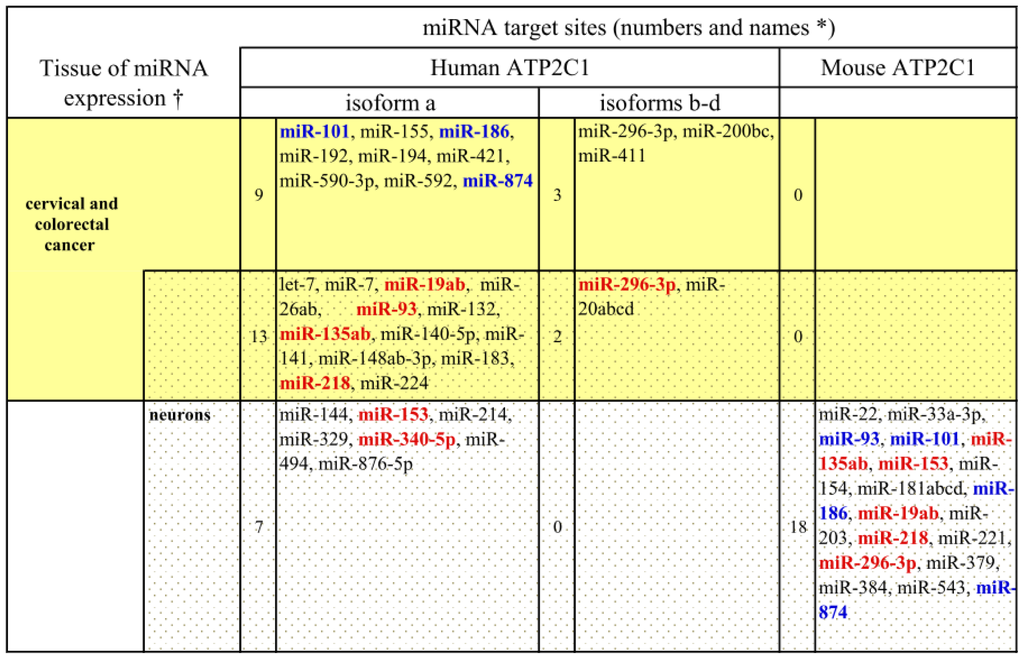 Ijms 14 00674f2 1024