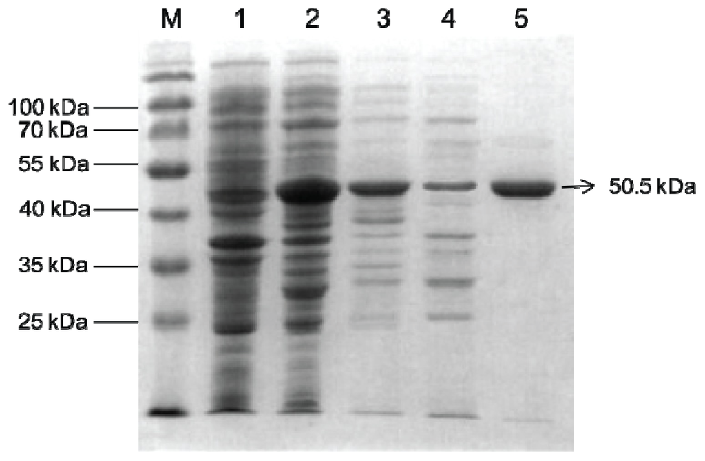 Ijms 14 00871f4 1024