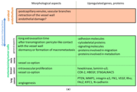 Ijms 14 01383f2a 200