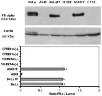 Ijms 14 01477f4 200