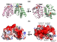 Ijms 14 01667f2 200