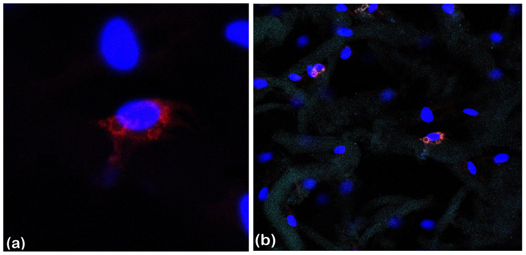 Ijms 14 01870f6 1024