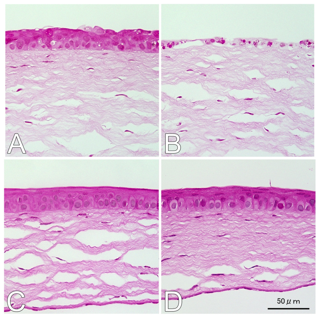 Ijms 14 02175f1a 1024
