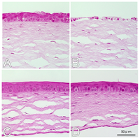 Ijms 14 02175f1a 200