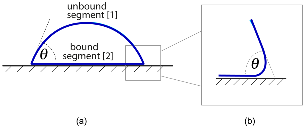 Ijms 14 02203f2 1024
