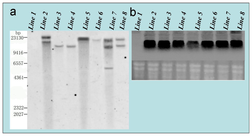 Ijms 14 02515f7 1024