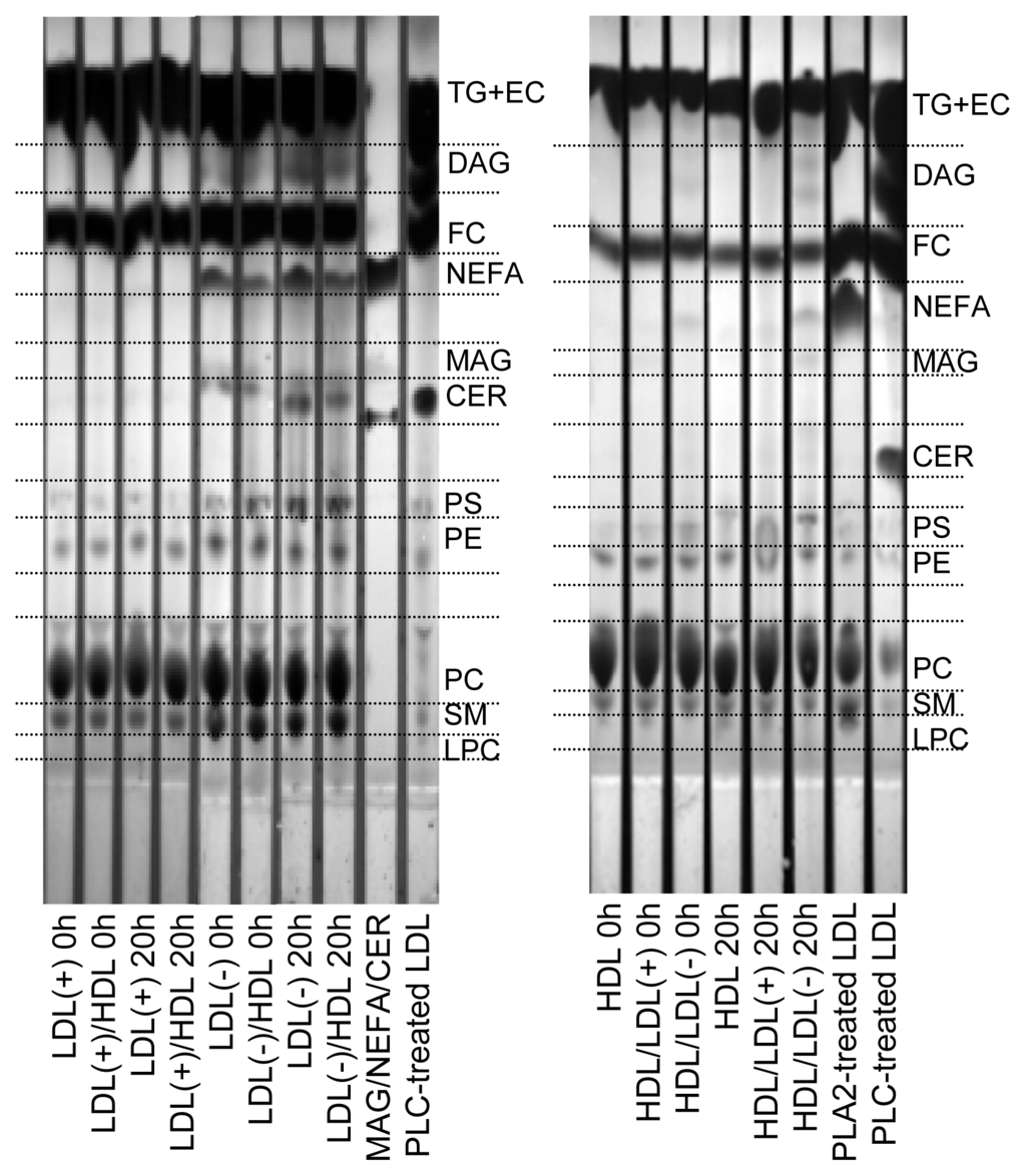 Ijms 14 02601f2 1024