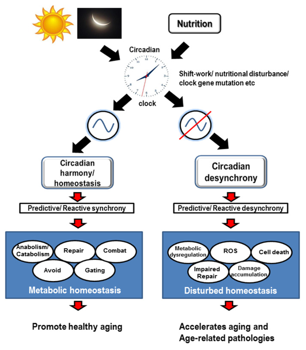 pipeline system automation and control