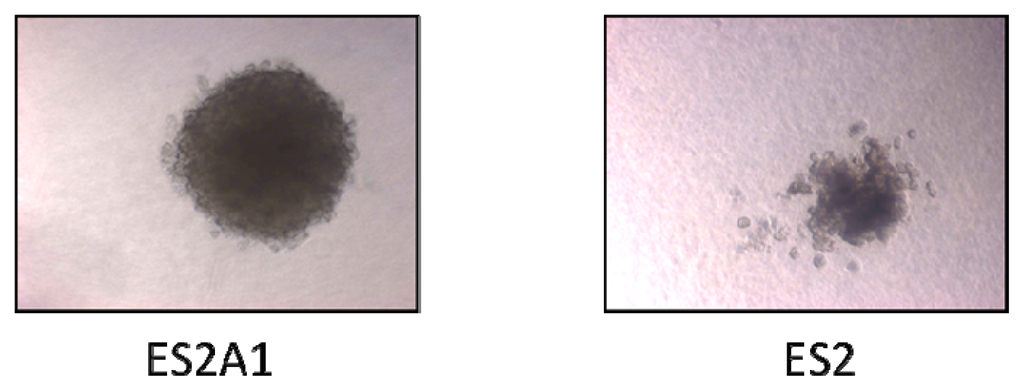 Ijms 14 03094f5 1024