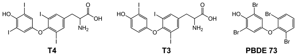 Ijms 14 03500f1 1024