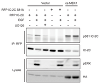 Ijms 14 03595f4 200