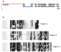 Ijms 14 03786f4 200