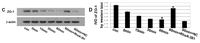 Ijms 14 03946f6b 200