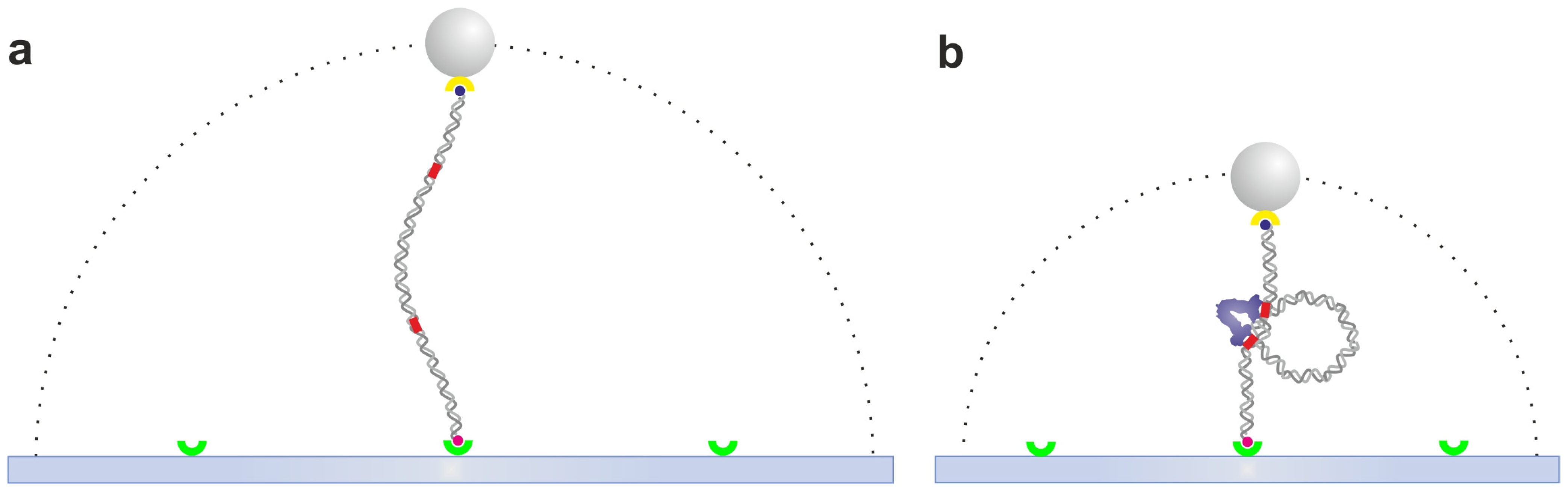 Ijms 14 03961 g002