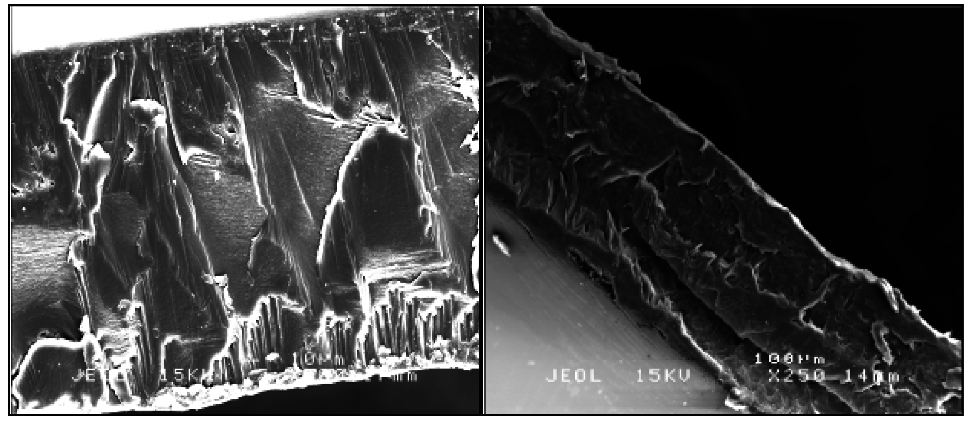 Ijms 14 03993 g003