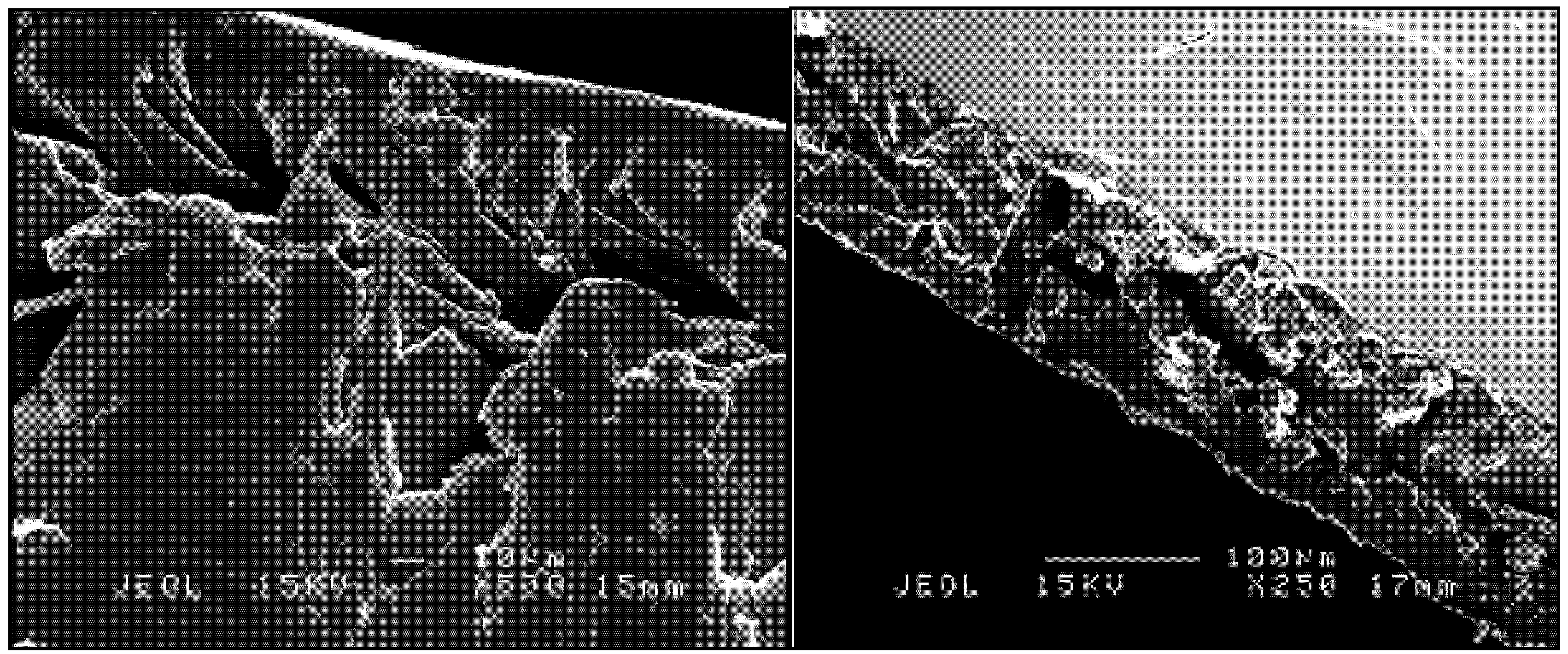 Ijms 14 03993 g004