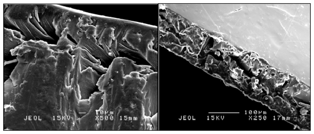 Ijms 14 03993f4 1024