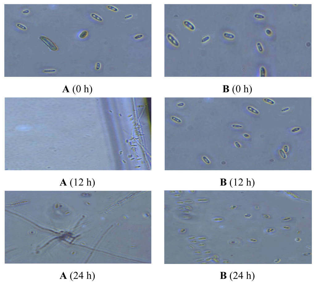 Ijms 14 04283f5 1024