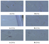 Ijms 14 04283f5 200