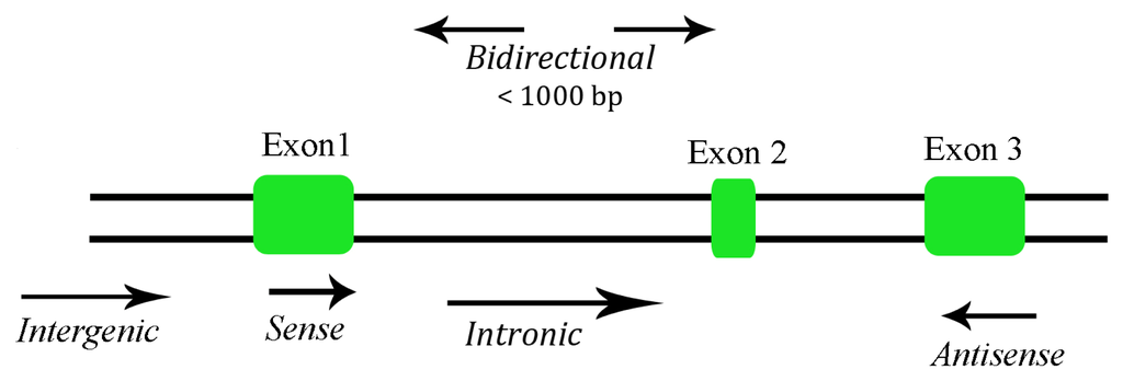 Ijms 14 04655f1 1024
