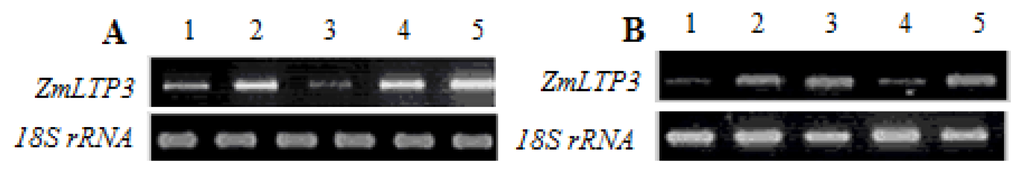 Ijms 14 05025f3 1024