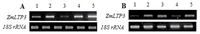 Ijms 14 05025f3 200