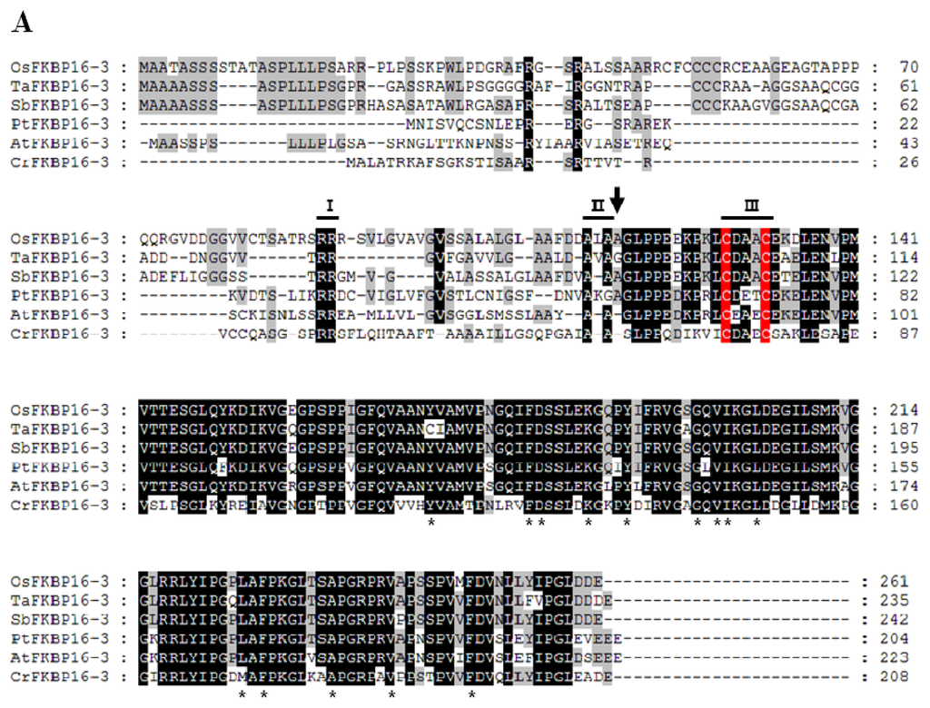 Ijms 14 05899f1a 1024
