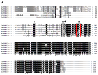 Ijms 14 05899f1a 200