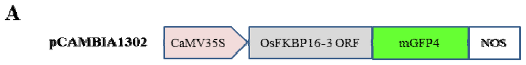Ijms 14 05899f3a 1024