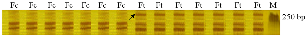 Ijms 14 06518f2 1024