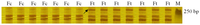 Ijms 14 06518f2 200