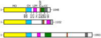 Ijms 14 06920f1 200