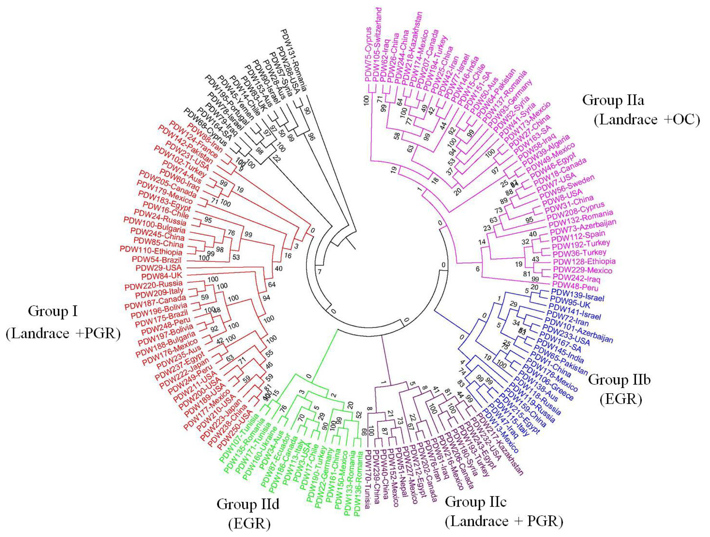 Ijms Free Full Text Genetic Diversity Revealed By Single Nucleotide Polymorphism Markers In