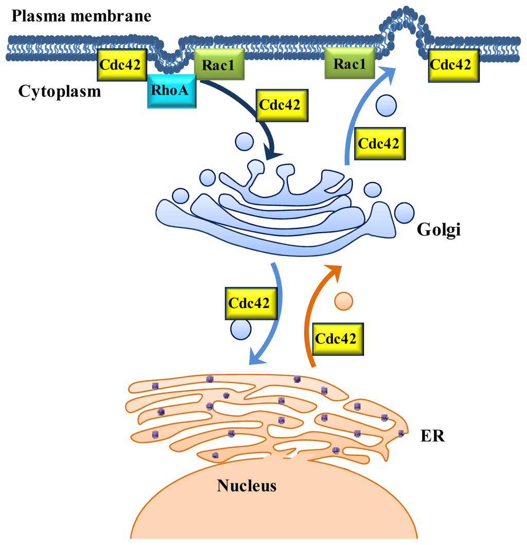 download biochemistry and molecular biology of vitamin b6 and pqq dependent proteins