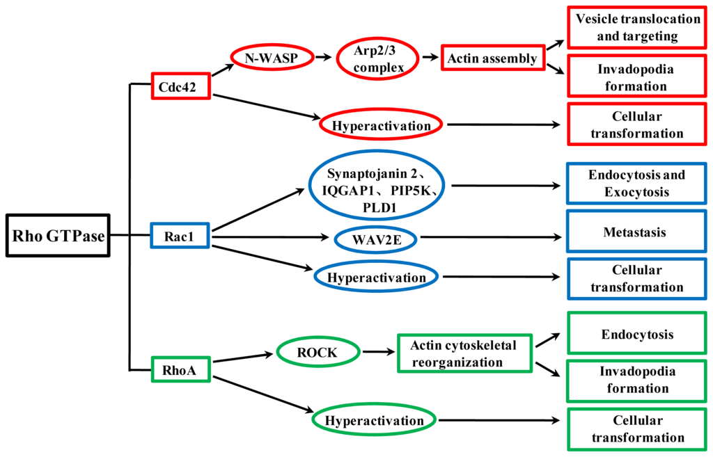 Carbon nanotubes synthesis structure properties and application 2001