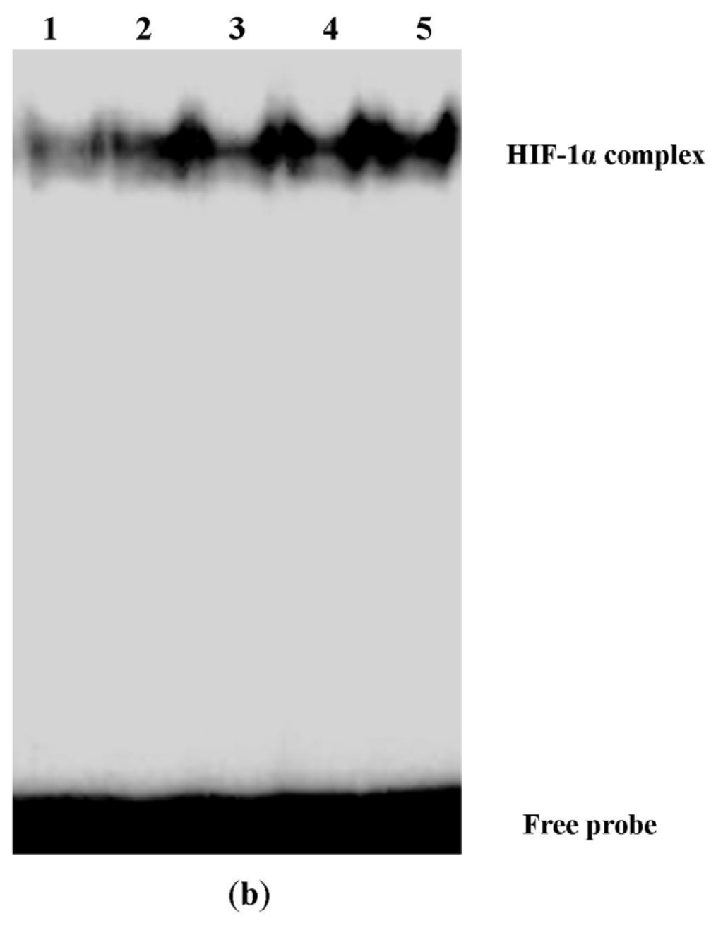 Ijms 14 07273f4b 1024