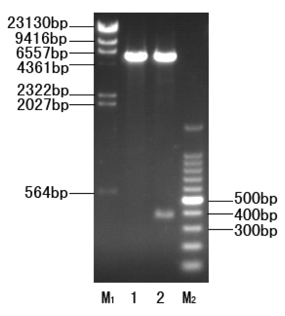 Ijms 14 07506f2 1024